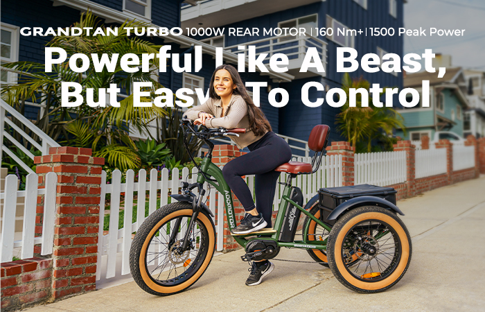 addmotor 1000w electric trike