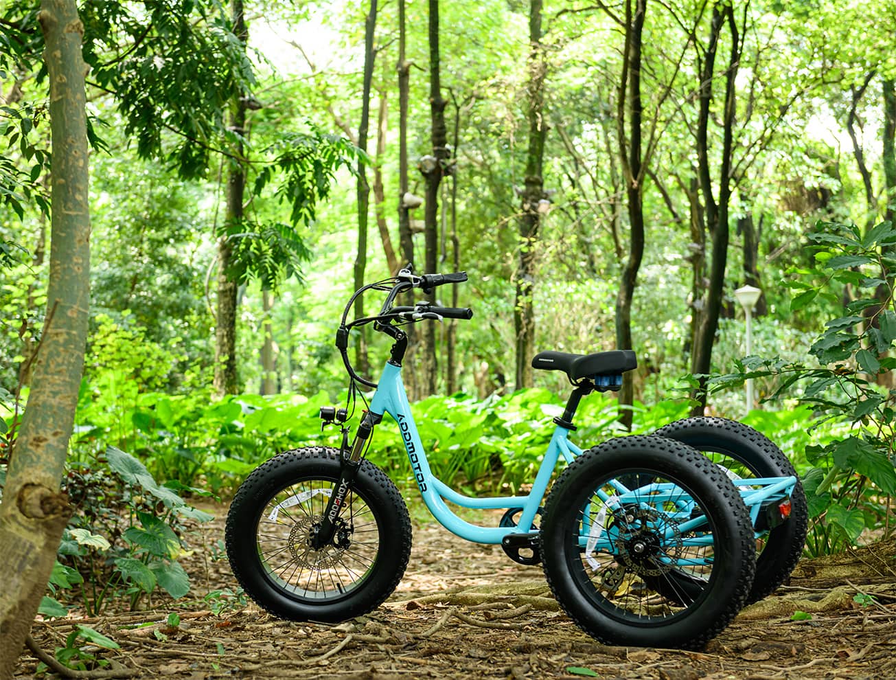 fat tire electric trike on tough roads