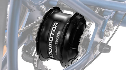 Close-up of a 750W motor on a Grandtan e-trike