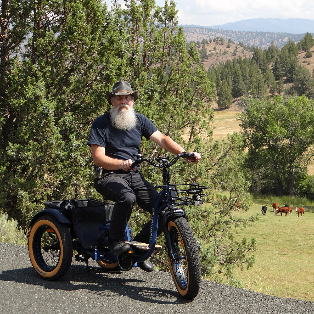 Best Electric Trikes Review 2023-Updated