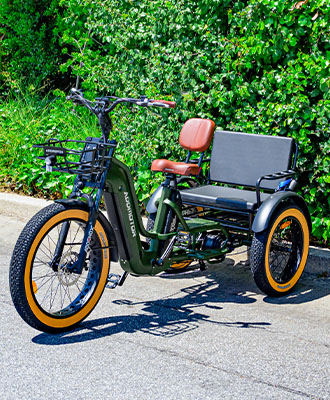 2 person electric trike best sale