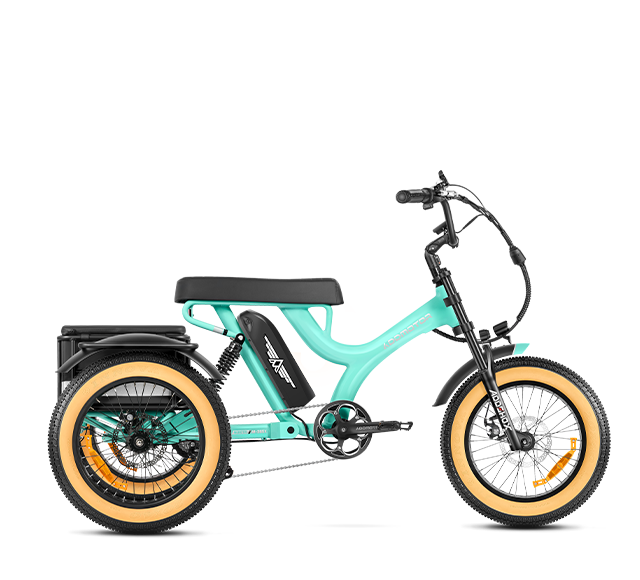 Herotri M-365X Electric Tricycle for 2 Adults in Sky Blue