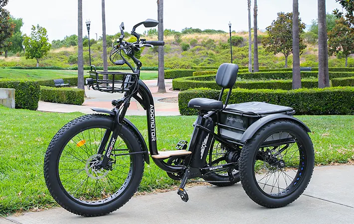 Grandtan e trike with fat tire