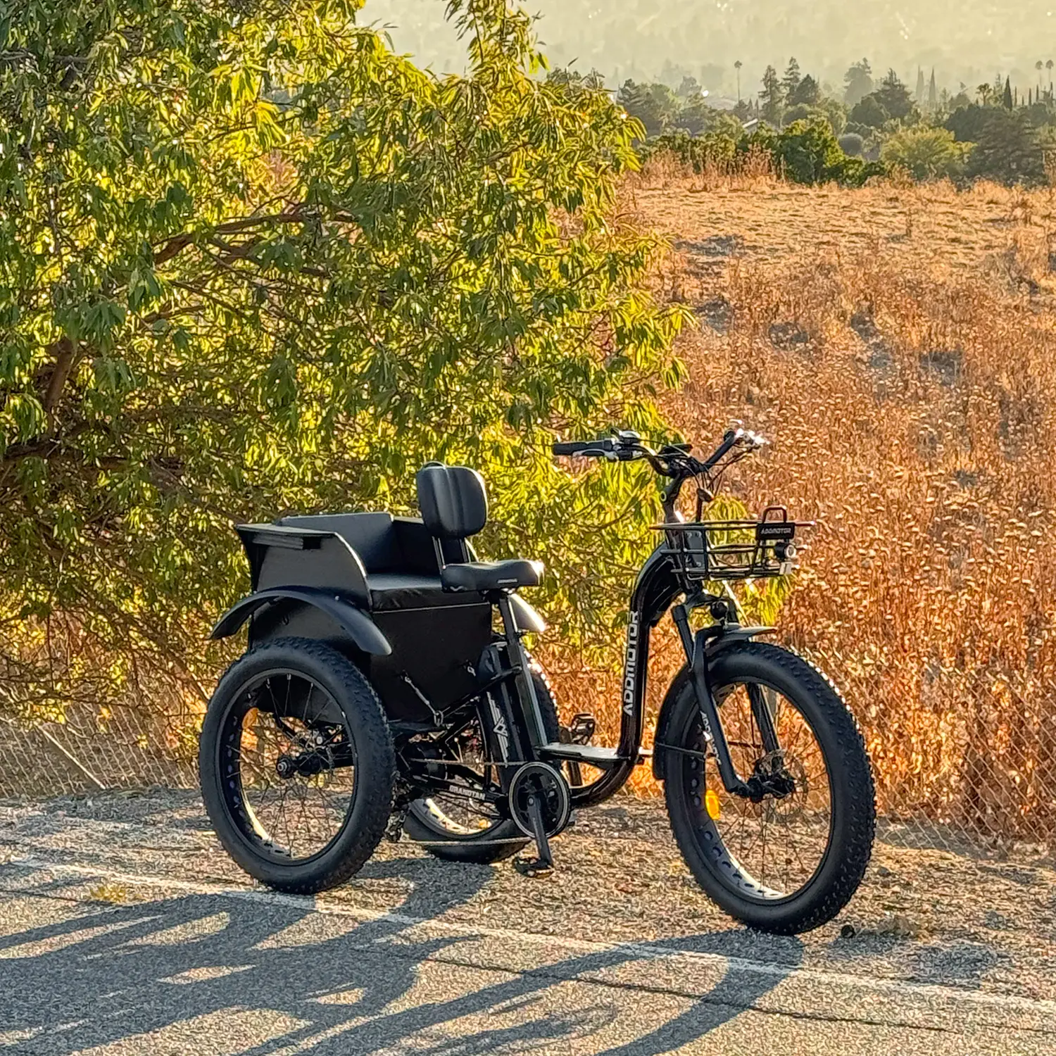 Fat tire electric bike