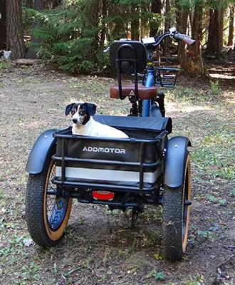 GRANDTAN X Electric Tricycle
