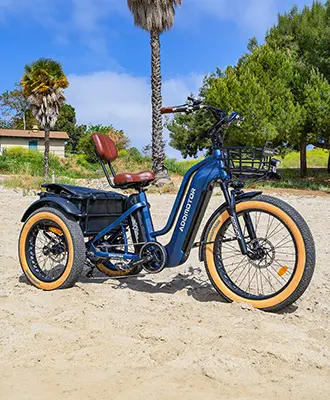 Greattan L three wheel electric bike