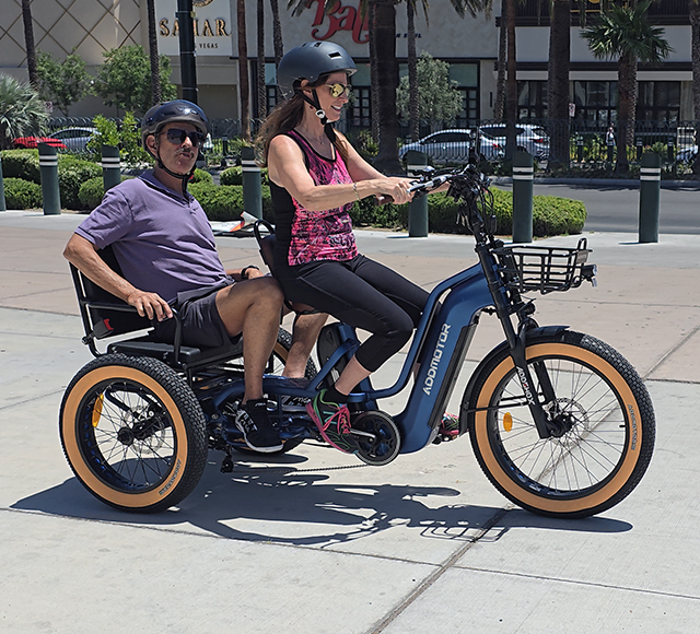 passenger electric trike