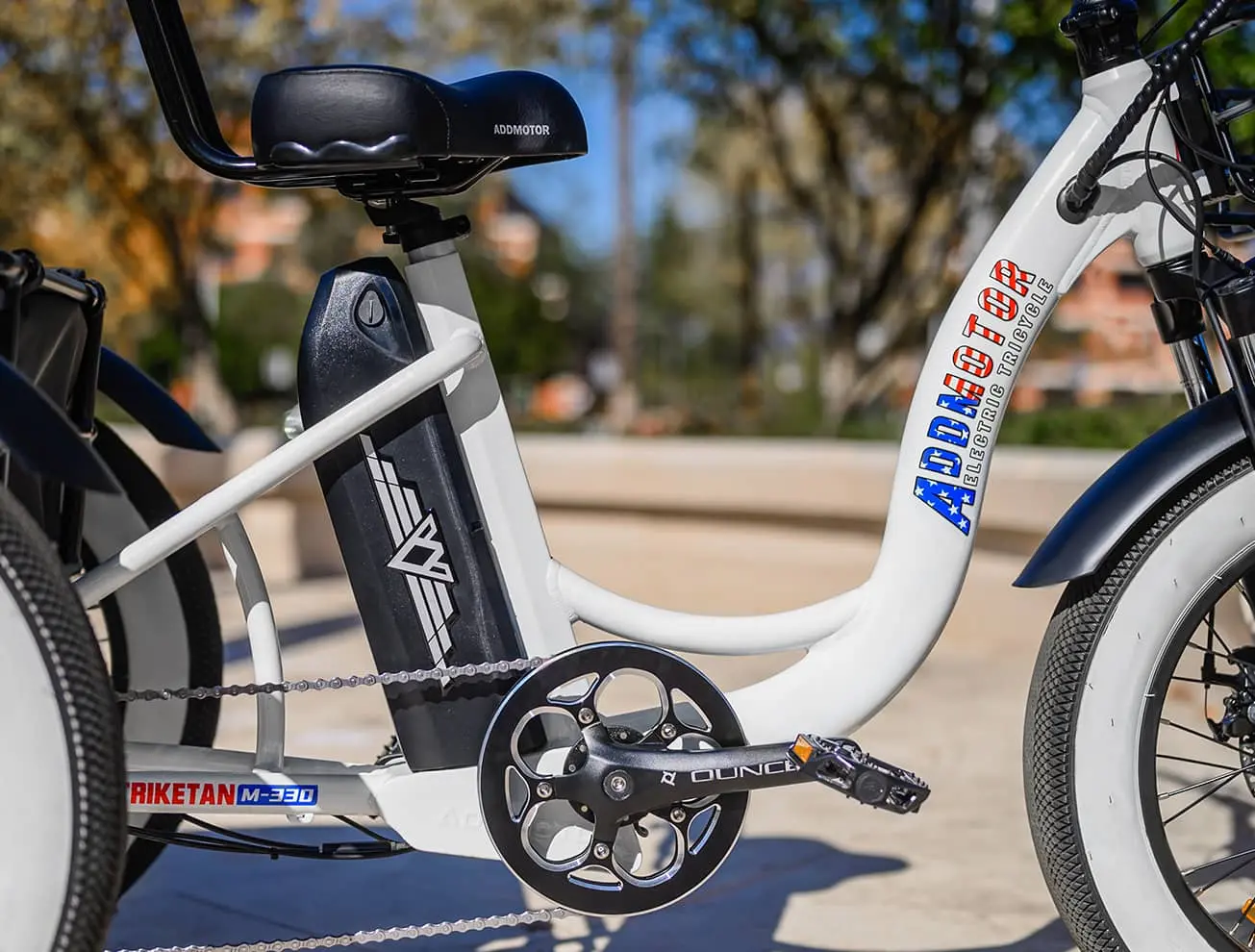 Triketan M-330 etrike motor torque