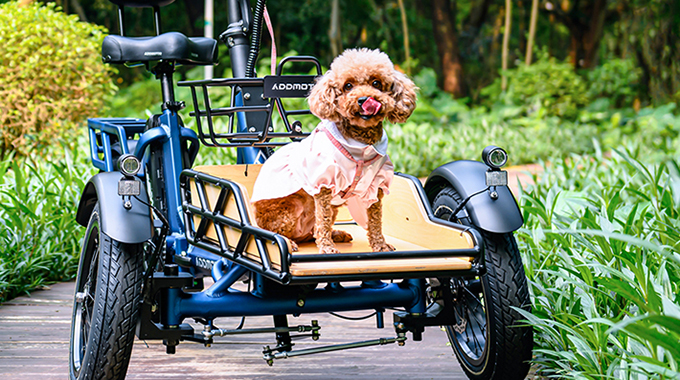 Addmotor Spytan electric bike which can carry your pet together