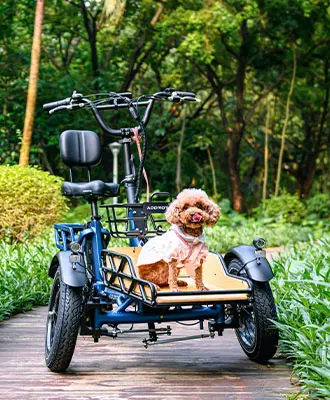 Spytan actual image with the pet