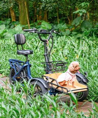 Spytan actual image with the pet