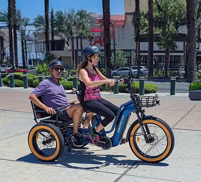 Greattan L Passenger eTrike