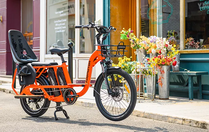 Addmotor Cargo e-bike with dual batteries