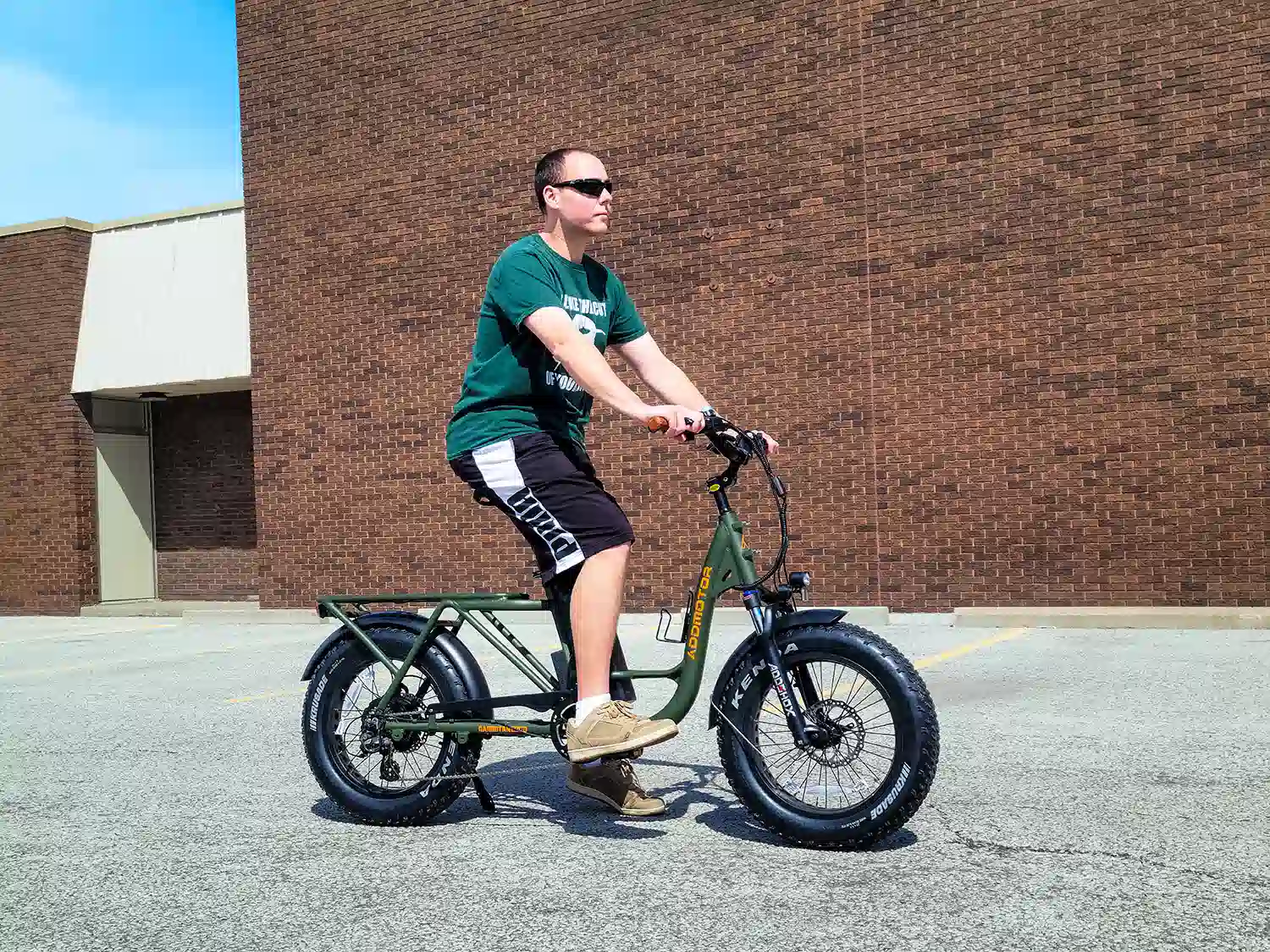 cargo ebike