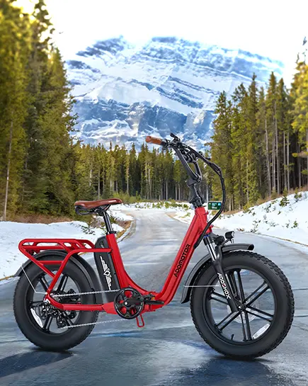 Foldtan m-120 ebike in the mountain in winter
