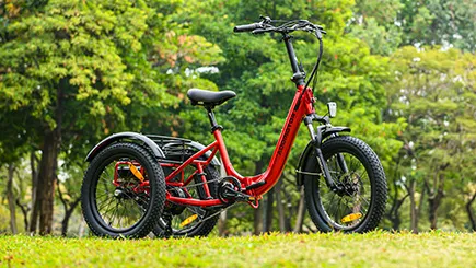 20 mph top speed for the citytan folding trike