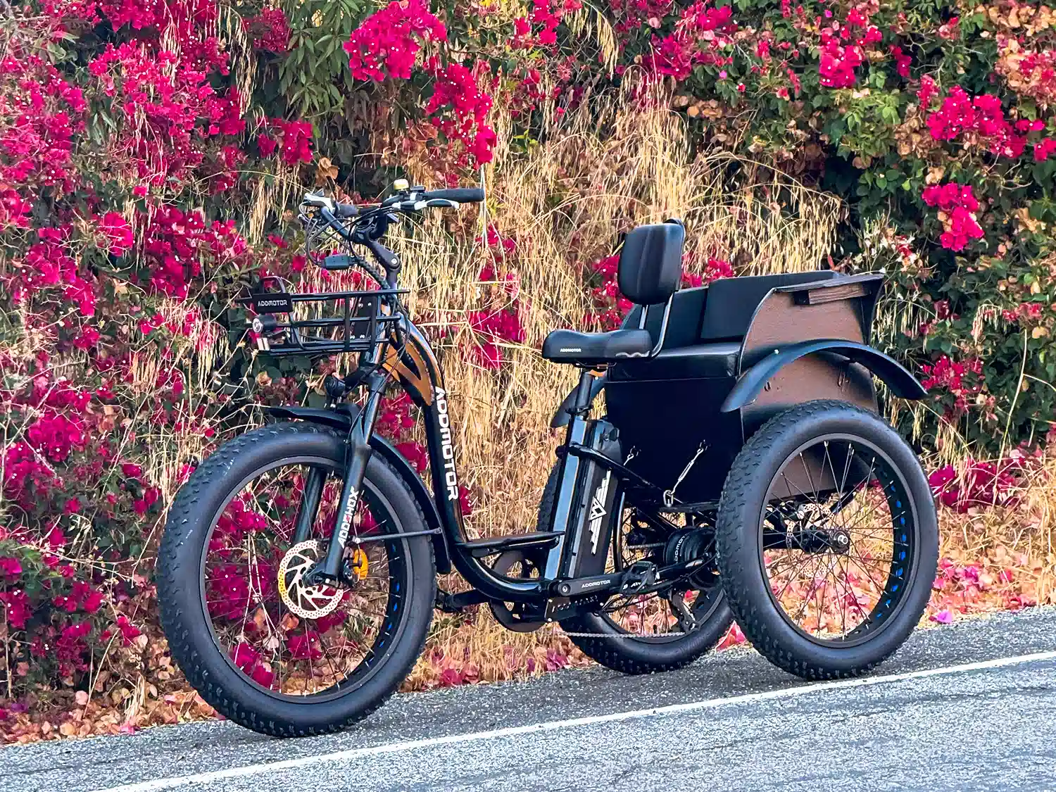 fat tire electric trike 2025, 750 watt rear motor