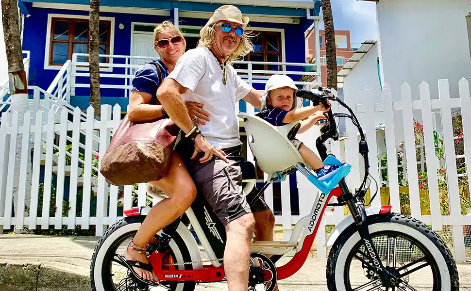 750 watt fat tire electric bike for family