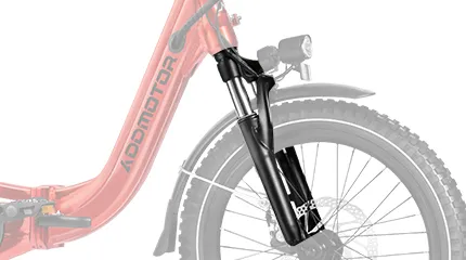 Front Suspension Fork of Citytri E-310 etrike