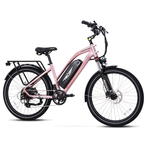 Citypro E-43 eBike (Canada Version)