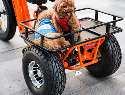 90Nm torque of the greattan d trike