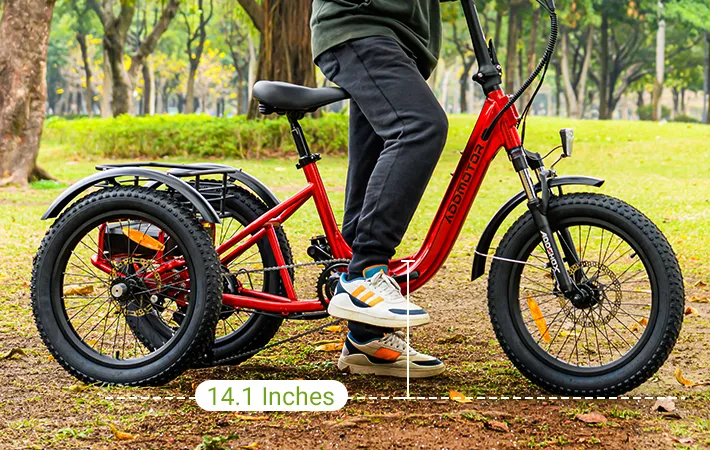 Low Step-Thru Design Frame of up to 14.1 inches
