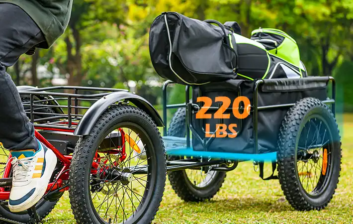 An addmotor trailer linking to a trike can load up to 220 LBS