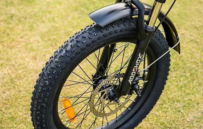 citytan etrike with 3.0 fat tire