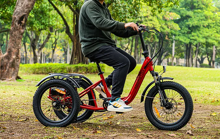 citytan has a longer frame ensuring a comfortable ride