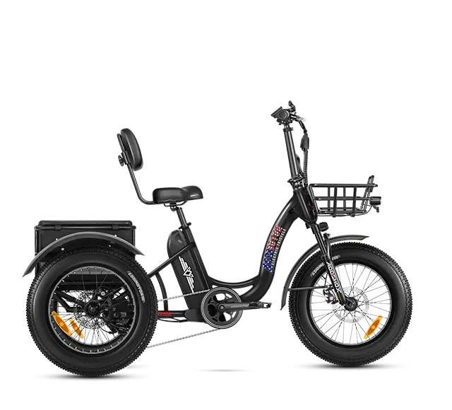 Triketan II M-330 eTrike
