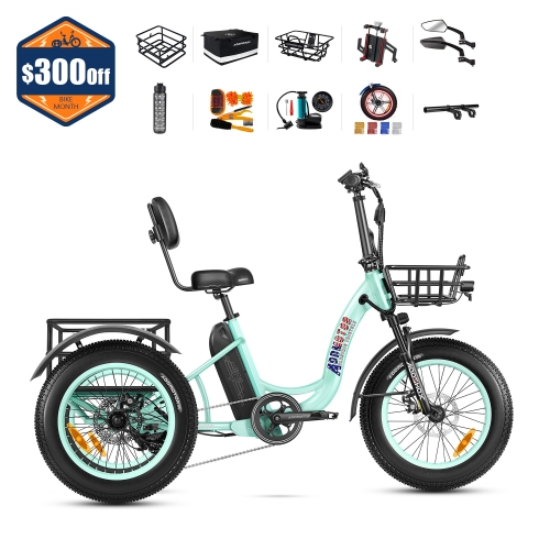 Triketan M-330 eTrike
