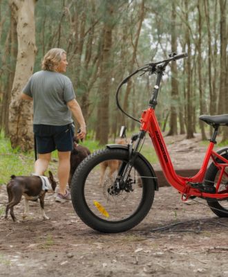 A red electric bike is parked on a path in a wooded area