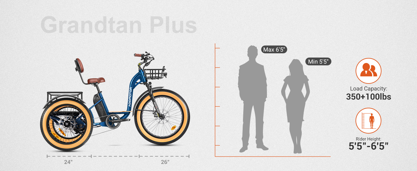 grandtan plus e trike size