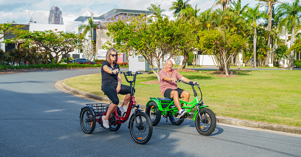 ul-certified Samsung battery cell of Arisetan mini e trike