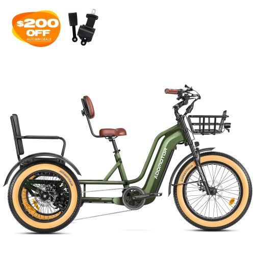 Greattan L Passenger eTrike