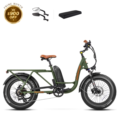 Garootan M-81 Cargo eBike