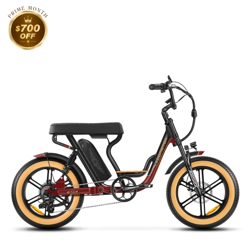 Soletan M-66X Full-Suspension eBike