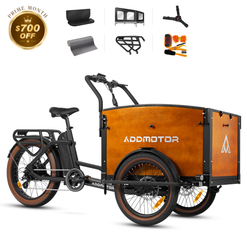 E-325 Electric Cargo Bike