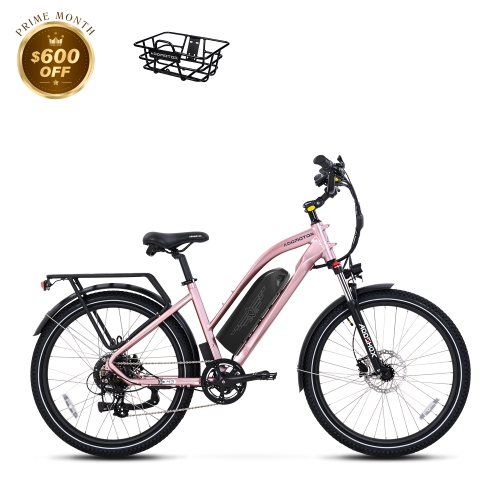 Citypro E-43 eBike