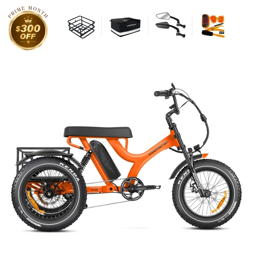 Herotri II M-365X Full-Suspension eTrike