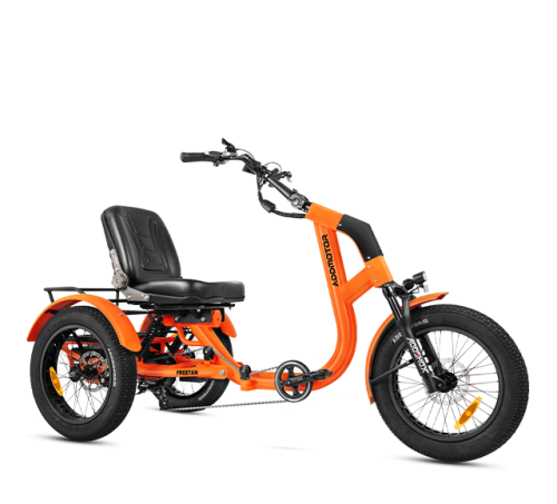 Freetan M-368X Full-Suspension Semi-Recumbent eTrike
