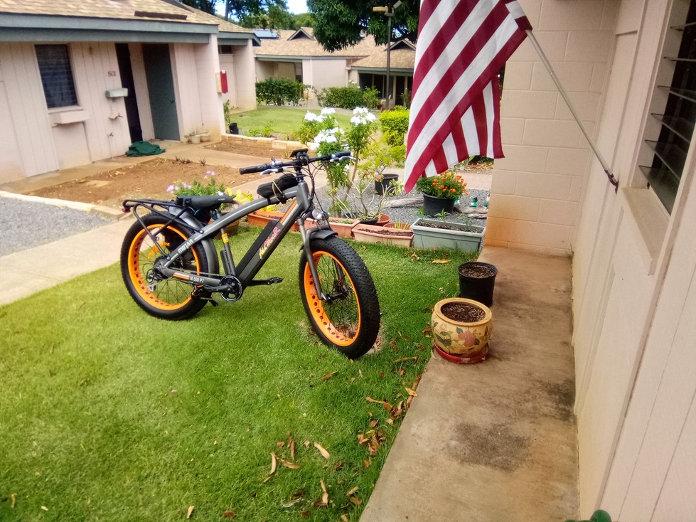 Real photos from customer reviews