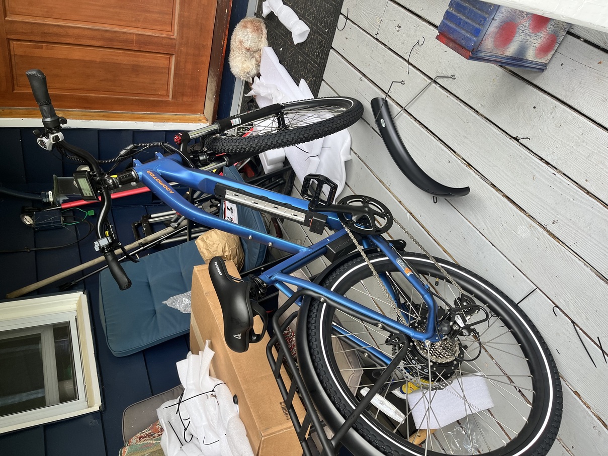 Real photos from customer reviews
